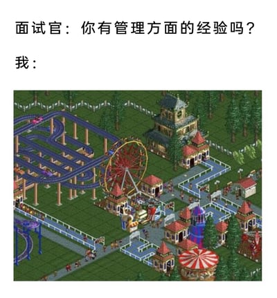 这是一张结合职场面试与经典游戏的趣味梗图，上方文字呈现面试场景：面试官向求职者提问“你有管理方面的经验吗？”，下方则以经典模拟经营游戏《过山车大亨》中的游乐园截图作为回答。图中的游乐园设施丰富，包含多层交错的过山车轨道、红色摩天轮、风格统一的商铺建筑，还有不少游客小人在园区内活动，是游戏中玩家精心经营的游乐园场景。该梗图以幽默调侃的方式，将游戏里管理游乐园的虚拟经历当作真实管理经验来回应面试问题，用自嘲的语气化解面试中的严肃提问，充满轻松搞笑的氛围，也唤起了不少玩家对《过山车大亨》这款怀旧游戏的回忆。