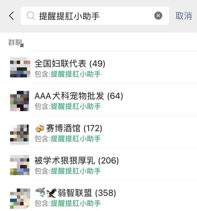 手机聊天软件的搜索界面，用户搜索「提醒提肛小助手」后显示多个包含该助手的群聊结果。群聊名称风格反差强烈，既有看似正式的「全国妇联代表 (49人)」，也有「AAA 犬科宠物批发 (64人)」「赛博酒馆 (172人)」这类生活化名称，还有「被学术狠狠厚乳 (206人)」「弱智联盟 (358人)」等调侃性质的群组，每个群聊下方均标注「包含：提醒提肛小助手」，整体充满荒诞搞笑感。