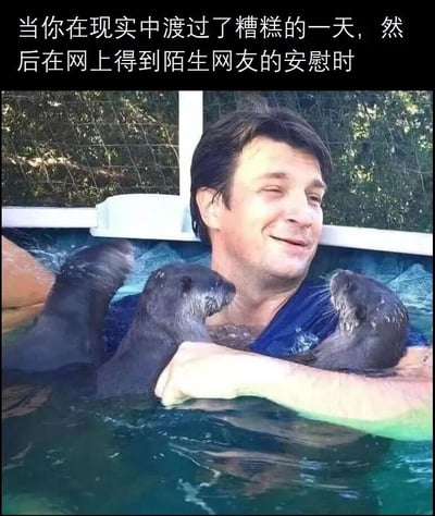 图片上方有白色文字：'当你在现实中渡过了糟糕的一天，然后在网上得到陌生网友的安慰时'。下方是一张真人照片，一名男子在泳池中，双臂轻松地抱着两只水獭，男子面带温和的微笑，眼神放松，水獭依偎在他怀里，画面充满温馨治愈感。整体通过可爱的动物互动场景，形象地比喻了网络陌生人的安慰带来的心灵慰藉，缓解现实中的负面情绪。
