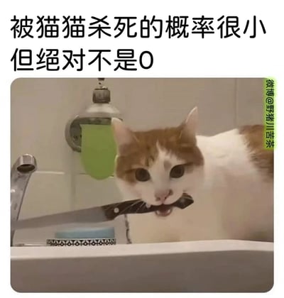这是一张搞笑趣味梗图，图片上方配有文字“被猫猫杀死的概率很小但绝对不是0”，下方画面展示了一只黄白相间的猫咪站在洗手池台面上，嘴里叼着一把刀，双眼瞪大直视镜头，结合文字内容制造出一种猫咪“带有攻击性”的反差感，以诙谐的方式调侃猫咪平时看似软萌温顺，偶尔会做出一些让主人觉得“危险”的行为，增添趣味效果。