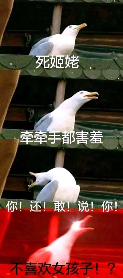 这是一组由三张海鸥表情包拼接而成的连环吐槽梗图，模拟了吐槽者的情绪递进过程：第一张海鸥表情嫌弃，配文“死姬姥”；第二张海鸥张嘴，配文“牵牵手都害羞”；第三张海鸥低头炸毛，下方红色手形图案配文“你！还！敢！说！你！不喜欢女孩子！？”，整体以调侃的语气吐槽害羞的女同性恋者，情绪从嫌弃逐步升级到愤怒，充满搞笑反差感，适合用于朋友间的趣味互动。