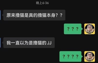 这是一张深色模式的即时通讯软件聊天记录截图，顶部显示时间为晚上6:36。对话共有四轮：第一位发言者首先发出疑问「原来撸猫是真的撸猫本身？？」，第二位发言者回复三个问号表达疑惑；随后第一位发言者补充说明自己之前的错误认知「我一直以为是撸猫的JJ」，第二位发言者再度回复四个问号，强烈表达自己的震惊与不解，整体内容因对「撸猫」这个日常流行词汇的奇葩误解产生极强的喜剧效果。