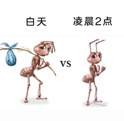 这是一张左右对比的卡通梗图，通过两只蚂蚁的状态反差，调侃当代人常见的作息矛盾：左侧标注“白天”的蚂蚁扛着绑有蓝色包裹的树枝，弯腰驼背，眼神疲惫，神态萎靡，完美还原了白天工作或学习时劳累不堪的状态；右侧标注“凌晨2点”的蚂蚁则站姿挺拔，眼神明亮，双手抬起，神态亢奋，精准表现了很多人到了深夜反而精神焕发、毫无睡意的状态。中间的“VS”字样强化了这种强烈的状态反差，戳中了熬夜人群的真实生活体验，容易引发共鸣。