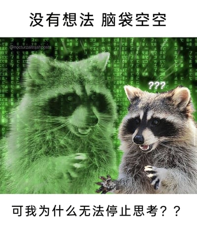这是一张经过P图改编的搞笑表情包，背景采用了经典科幻电影《黑客帝国》中的绿色数字雨视觉元素。画面左侧是呈现出数字投影效果、仿佛正在消散的浣熊，右侧是现实中的浣熊，它头顶带有问号，表情疑惑又惊讶，嘴巴张开，双手抬起，呈现出不知所措的姿态。图片上方配文“没有想法 脑袋空空”，下方配文“可我为什么无法停止思考？？”，精准地捕捉到当代人常见的精神内耗状态：明明没有明确的思路和想法，却控制不住地陷入无意义的胡思乱想，用浣熊的迷惑形象将这种矛盾又无奈的情绪以幽默的方式展现出来，容易引发观者的共鸣。