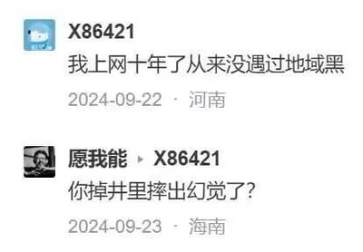 这是一张社交媒体评论区的截图，来自河南的用户“X86421”于2024-09-22发布评论，表示自己上网十年从来没遇到过地域黑；来自海南的用户“愿我能”于2024-09-23回复了一句充满讽刺调侃意味的话“你掉井里摔出幻觉了？”，用夸张的语气暗指地域黑现象在网络中其实较为普遍，反驳了原评论的观点，形成了鲜明的观点对立。
