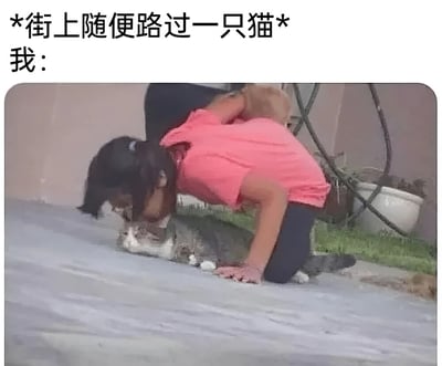 图片上方配有文字"*街上随便路过一只猫* 我:"，下方是一名穿粉色上衣的女孩正双膝跪地，俯身亲吻一只灰白相间的猫。图片通过夸张的动作幽默地表现了猫奴遇到猫咪时的激动反应，展现了对猫咪无法抗拒的喜爱之情。