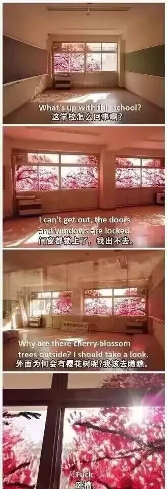 这是一组四格连环梗图，通过递进的画面制造视觉反转效果：第一格展示了一间空旷的教室，配文表达被困者的疑惑“这学校怎么回事啊？”；第二格画面中教室的门窗都处于锁闭状态，配文“门窗都锁上了，我出不去”，强化被困的处境；第三格画面里教室的窗外出现了樱花树，配文“外面为何会有樱花树呢？我该去瞧瞧”，引导读者以为樱花树在室外；第四格是近距离的窗户画面，此时可以发现樱花树实际上是在教室内部，紧贴着窗户内侧，配文“卧槽”，用直白的情绪表达制造反转的搞笑与惊悚感，利用视觉错觉让读者产生认知偏差，最后打破预期带来趣味。