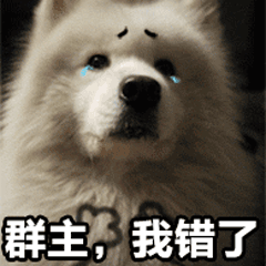 萨摩耶流泪认错：群主，我错了
