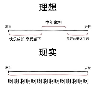 这是一张上下对比的静态梗图，分为“理想”和“现实”两个部分。上半部分的“理想”板块展示了人们期许中的人生轨迹：从出生到去世的时间轴里，大部分阶段是“快乐成长 享受当下”，仅在中间有一段“中年危机”，最后以“美好的退休生活”收尾，整体人生平顺且充满正向体验。下半部分的“现实”板块则呈现了截然不同的人生：从出生到去世的整个时间轴下方，只有一连串重复的“啊啊啊啊啊啊啊啊啊啊啊啊啊啊啊”，用这种夸张的文字表现出现实人生全程都被疲惫、焦虑、压力裹挟的状态。图片通过强烈的反差感，精准戳中当代人在生活、职场等各方面承受压力的情绪，引发广泛共鸣。