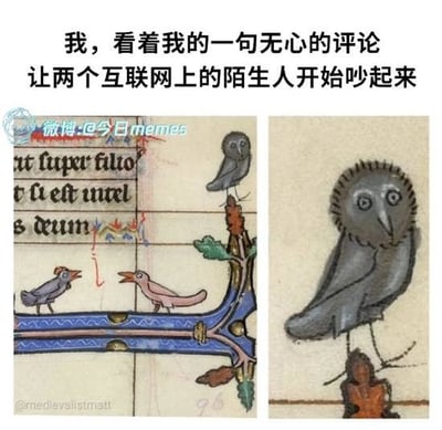 图片上方为黑色文字：“我，看着我的一句无心的评论 让两个互联网上的陌生人开始吵起来”。下方左侧是一幅中世纪手稿风格插画，两只彩色小鸟站在蓝色栏杆上面对面张嘴争吵，背景有拉丁文手稿残页；右侧是一只灰色小鸟独自站立，眼神呆滞，表情无奈。整体通过中世纪复古插画与现代网络场景的反差，幽默展现了因一句无心评论引发网络争论后，当事人作为旁观者的无奈心情。
