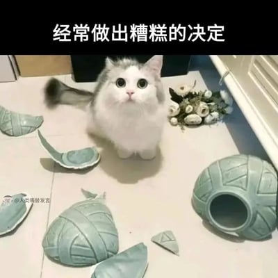 这是一张静态表情包图片，画面主体是一只灰白相间的猫咪，它安静地坐在地面上，周围散落着多块被打碎的青绿色容器碎片，猫咪睁着圆溜溜的大眼睛，露出一脸无辜的神情。图片顶部配有醒目的文字“经常做出糟糕的决定”，用猫咪闯祸后无辜的状态，生动地比喻人们在生活中做出错误决定后懊悔又无奈的心情，非常适合用来自嘲或者调侃自己做出的糟糕选择，能引发网友的共鸣。图片左下角带有水印“@人类嘴替发言”。