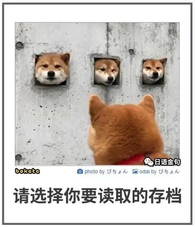 这是一张经过P图改编的趣味梗图，属于静态的顶配底文图。画面主体是四只柴犬，其中三只分别从灰色墙面的三个方形孔洞中探出头，表情各不相同，分别是平静、略带疑惑和好奇；另有一只柴犬背对着镜头，面向墙面站立。图片底部配有文字“请选择你要读取的存档”，模仿电子游戏中选择存档的界面，将不同的柴犬对应为不同的游戏存档，用可爱的动物形象结合游戏相关的设定，制造出幽默搞笑的反差效果，十分贴合网络趣味梗图的风格。