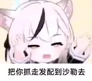 这是一张二次元风格的趣味表情包，图中是一位有着白色头发和猫耳的卡通少女，她双眼眯起，双手举在脸颊两侧，做出搞怪的动作，画面下方配有文字“把你抓走发配到沙勒去”，用可爱的画风搭配带有玩笑性质的话语，适合在日常聊天中用来和朋友调侃、开玩笑，增添对话的趣味性。
