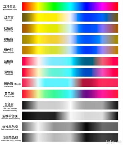 这是一张专业的色觉科普对比图表，清晰展示了正常色觉与11种色觉异常（包括红/绿/蓝/黄色盲、色弱，以及全色盲、单色视等）人群的色彩光谱感知差异。每种色觉类型都配有对应的色彩条，直观呈现各类色觉障碍下的色彩缺失、偏差或色调改变，帮助大众理解色觉异常人群的视觉体验，属于视觉科学领域的科普内容。