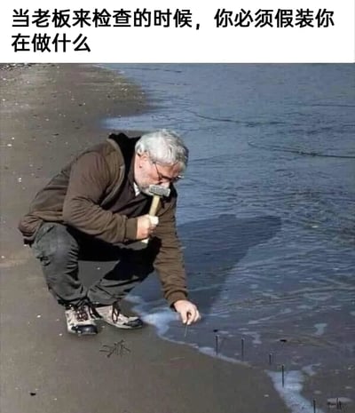 这是一张经过二次创作的搞笑职场梗图，图片上方配有文字“当老板来检查的时候，你必须假装你在做什么”。画面中一位白发戴眼镜的老年男性蹲在海边的沙滩上，创作者通过P图将一把锤子放置在他的嘴边，营造出他正在使用锤子的视觉效果，同时他的一只手拿着小木棍，做出往沙滩上“钉钉子”的动作，实际上沙滩上海浪边缘的“钉子”只是原本就存在于沙中的细长小物件，是视觉错觉营造出的效果。这张图用这种荒诞、毫无意义的“假装工作”场景，调侃职场中员工在老板检查时，为了不被发现摸鱼，刻意伪装出认真工作状态的行为，精准戳中职场摸鱼的共鸣点，充满搞笑趣味。