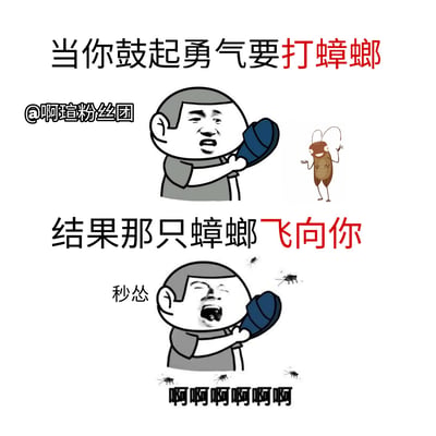 这是一张上下两格的连环漫画，描绘了打蟑螂时的搞笑场景。上半部分中，一个卡通人物表情坚定地举起蓝色拖鞋，准备打向一只站立的蟑螂，配文“当你鼓起勇气要打蟑螂”；下半部分则画风突变，人物惊恐地张大嘴巴尖叫，周围出现多只飞舞的蟑螂，配文“结果那只蟑螂飞向你”和“啊啊啊啊啊啊”，生动展现了从决心到崩溃的瞬间反转。