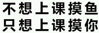 图片为纯文字静态图，内容为两行黑色加粗文字：'不想上课摸鱼 只想上课摸你'。通过替换'摸鱼'（网络用语，指上课偷懒）的宾语为'摸你'，形成俏皮的双关效果，表达在课堂上不想偷懒、只想亲近对方的甜蜜情感，常用于情侣间的校园场景互动。