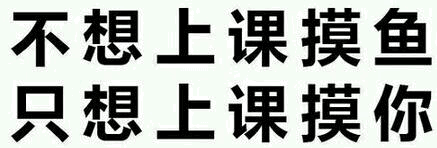 上课不想摸鱼只想摸你