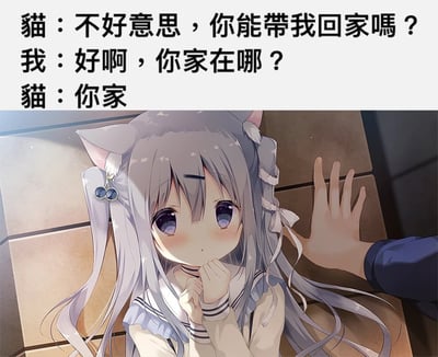 这是一张图文混排的网络梗图，上方为文字对话部分：猫先询问对方能不能带自己回家，对方同意后问猫的家在哪里，猫回答家就是对方的家，是带有土味撩人属性的趣味对话；下方搭配的是二次元风格插画，画面里有一位长着猫耳的银发动漫少女，脸颊泛红神态羞怯，双手放在嘴边靠在墙边，画面右侧有一只手撑在墙上做出壁咚的姿势，将对话里的猫拟人化为软萌猫娘，整体氛围可爱有趣。