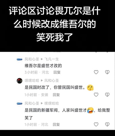 这是一张社交媒体评论区的截图，顶部配文表示评论区讨论畏兀尔改为维吾尔的时间时出现的误会十分好笑。下方共有三条网友对话：网友风和心圣称维吾尔是盛世才改的，另一位网友嘿嘿哈哈误将人名“盛世才”断句理解为“盛世 才”，以为对方表达的是维吾尔是到盛世时期才改的名称，因此反问对方难道把民国叫做盛世，随后风和心圣解释“盛世才”是民国时期的新疆军阀的名字，调侃对方的断句错误，整个对话因断句误会产生了喜剧效果。