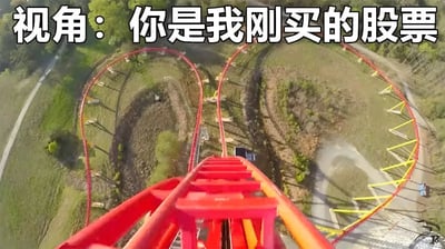 图片展示了从红色过山车轨道顶端俯瞰的第一视角，轨道陡峭向下延伸并伴有多个弯道和黄色支架，背景是绿色草地和树木。顶部叠加文字“视角：你是我刚买的股票”，通过过山车的惊险刺激和剧烈起伏，幽默隐喻刚买入股票后可能面临的大幅波动和紧张体验。