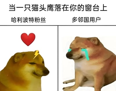 这是一张左右对比的表情包，上方文字为'当一只猫头鹰落在你的窗台上'。左侧标注'哈利波特粉丝'，配有一只头顶有闪电标志、表情得意的柴犬，上方有红色爱心；右侧标注'多邻国用户'，配有一只正在流蓝色眼泪、表情悲伤的柴犬。通过两种不同的反应对比，幽默地表现了不同群体对猫头鹰出现的不同联想。