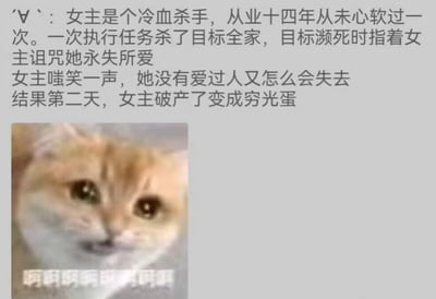 图片上方是一段文字故事：女主是从业十四年的冷血杀手，执行任务时杀害目标全家，目标临死前诅咒她‘永失所爱’。女主嗤笑自己从未爱过，不会失去。结果第二天她破产变成穷光蛋，形成强烈反转。图片下方配有一张橘猫的照片，猫表情似笑非笑，下方有‘哈哈哈哈哈哈哈哈’的笑声文字，增强了搞笑讽刺效果。