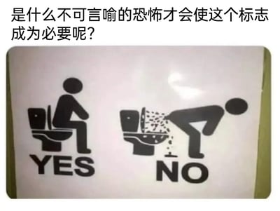 这张图片是一张带有调侃配文的卫生间如厕规范提示图，上方配文“是什么不可言喻的恐怖才会使这个标志成为必要呢？”，用幽默的语气暗示该提示的出现是因为有人做出过错误的如厕行为。标识主体为左右分栏的黑白卡通图示：左侧是正确的如厕方式，一个抽象卡通人物坐在马桶上，下方标注“YES”；右侧是错误的如厕方式，一个抽象卡通人物俯身对着马桶，导致马桶内的水大量溅出，下方标注“NO”。整个图片通过直白夸张的对比图示，清晰传达了正确使用马桶的要求，同时配文增添了搞笑效果，容易引发网友对不文明如厕行为的共鸣和调侃，常作为网络热图传播。