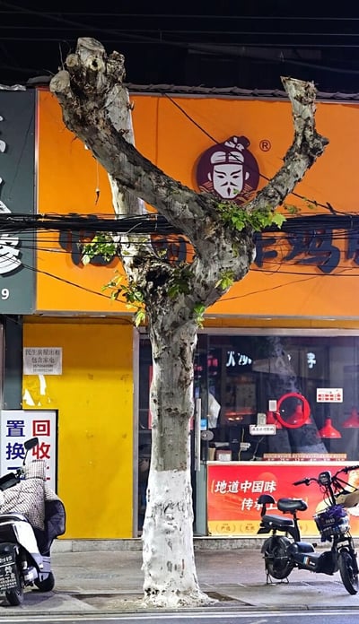夜晚的城市街道场景，前景是一棵造型独特的树，其树干分叉出两根粗壮的树枝向上延伸，形状神似人形张开双臂。树后方是一家店铺的橙色招牌，招牌中央有一个戴帽子的人物头像标志，下方可见“地道中国味”等字样。左侧墙面有“置回 换收”的白色招牌，旁边停放着几辆电动自行车。整体画面展现了生活化的城市夜景，树的奇特造型成为视觉焦点。