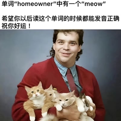 图片上半部分为文字内容，指出英文单词“homeowner”（房主）中包含“meow”（猫叫声），并调侃“希望你以后读这个单词的时候都能发音正确 祝你好运！”。下半部分是一位穿着红色外套的男子，面带微笑，怀里抱着多只不同毛色的小猫。整体通过单词拆分的谐音梗制造幽默效果，将“房主”与“猫叫”联系起来，暗示读者可能会因此产生发音联想。