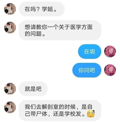这张图是一段医学生之间的微信聊天记录表情包。学妹认真地向学姐请教医学解剖课相关问题，却一本正经地问：“我们去解剖室的时候，是自己带尸体，还是学校发？” 这种严肃的学术场景与小白式提问的反差产生了强烈的幽默感，令人忍俊不禁。整个对话流露出新手学生对专业知识的稚嫩与天真。