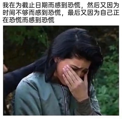 图片上方为黑色文字，内容描述了因截止日期、时间不够以及自身恐慌情绪而产生的连环恐慌心理：“我在为截止日期而感到恐慌，然后又因为时间不够而感到恐慌，最后又因为自己正在恐慌而感到恐慌”。下方是一张剧照截图，显示一位黑发女性穿着蓝色外套，单手捂着脸，表情痛苦，背景为绿色植物，生动展现了焦虑崩溃的状态。