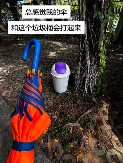 这张实拍图取景于户外铺有镂空地砖的树下区域，画面左下方是一把收拢的橙蓝拼色长柄雨伞，蓝色弯钩状的伞柄朝向斜上方，形态酷似人类举起的拳头；画面右侧的树根旁摆放着一个白色小型垃圾桶，顶部的紫色翻盖看起来仿佛是朝向雨伞的脸。图的上方配有两行文字“总感觉我的伞 和这个垃圾桶会打起来”，将两件无生命的物品进行拟人化联想，营造出二者正处于对峙状态、随时要发生冲突的喜剧感，脑洞十足十分有趣。