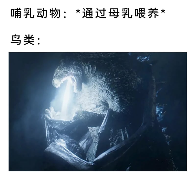 《哥斯拉》系列影视