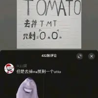 这是一张竖屏的抖音社交媒体截图，上方展示英文单词TOMATO，配文“去掉T M T 只剩O_O”，通过剔除单词里的T、M、T三个字母，剩下两个O组成类似发呆表情的图案，玩字母拆解的创意梗；下方评论区有一条评论，用另一种拆解方式玩梗：“但是去掉ma仅剩一个oto”，对同一个单词进行不同的字母剔除，制造出反差笑点。
笑点解析：对同一个英文单词进行两种不同的字母剔除逻辑，得到不同的有趣结果，第一种结果是类似表情的符号，第二种是剩下无意义但有趣的字母组合，形成趣味反差。