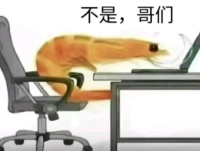 这是一张经过P图改编的静态搞笑表情包，画面将一只大虾进行拟人化处理，让它坐在办公椅上，身体前倾，头部凑近面前的笔记本电脑，仿佛正在查看电脑内容。图片上方配有文字“不是，哥们”，结合大虾的拟人化职场场景，用幽默的方式调侃打工人在职场中遇到离谱、令人惊讶的事情时的反应，通过拟人化的动物形象来放大打工人的情绪，引发职场群体的共鸣，适合用来表达惊讶、无语、吐槽的情绪。