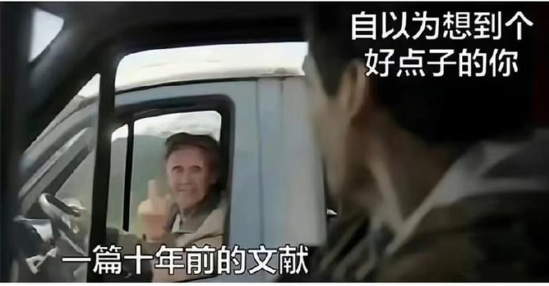 这个杀手不太冷