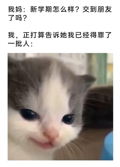 这是一张图文混排的搞笑梗图，通过文字构建了开学后的家庭对话场景：妈妈关切地询问新学期是否交到朋友，而“我”却面临着得罪了一批人的社交翻车处境。下方搭配了一只灰白相间的小猫，它眼神湿润、表情委屈心虚，精准地对应了“我”不敢将实情告知妈妈时，内心愧疚又窘迫的情绪，用幽默的方式展现了开学后社交翻车的窘迫，容易引发有类似经历的人的共鸣。
