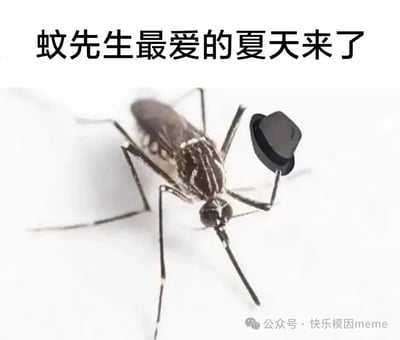 图片上方有黑色文字“蚊先生最爱的夏天来了”，下方是一只蚊子的特写照片。蚊子被编辑处理，用一条腿“手持”一顶小巧的黑色礼帽，拟人化成为“蚊先生”的形象。背景为纯白色，使蚊子主体和文字内容清晰突出。整体通过将蚊子拟人化并结合夏季主题，营造出幽默调侃的氛围，暗示夏天是蚊子活跃的季节。