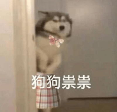 这是一张展现偷感的表情包，画面中一只哈士奇从门边只探出半个身体和头，鬼鬼祟祟向外张望，被网友P上了粉色蝴蝶结和格纹JK百褶裙，图片下方标注白色文字“狗狗祟祟”，整体完美呈现出小心翼翼、怕被发现的偷感状态。