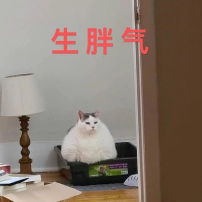 图片中一只胖乎乎的灰白相间猫咪正端坐在房间角落的黑色容器里，眼神淡定中带着一丝冷漠。猫咪体型圆润，毛发蓬松，背景可见一盏木质台灯和散落的纸张。图片上方用醒目的红色大字写着“生胖气”，巧妙运用谐音梗，将“生气”替换为“胖气”，幽默调侃胖猫仿佛在闹脾气的可爱模样，整体氛围轻松搞笑。