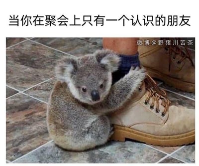这是一张文字加注的真实动物照片，画面里一只考拉蜷缩在瓷砖地面上，两只前爪紧紧扒着人的浅色工装靴，眼神看起来局促又不安，仿佛在陌生环境里只能依赖眼前的“依靠”。图片上方配有文字“当你在聚会上只有一个认识的朋友”，用考拉的状态精准比喻了社恐人群或者不擅长社交的人，身处陌生聚会环境时，只能紧紧黏着仅有的熟人，不敢独自面对陌生场景的尴尬又局促的心境，很容易让有类似经历的人产生强烈共鸣。