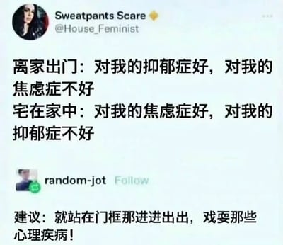 这张梗图分为两部分：上半部分通过社交媒体账号的风格文字，描述了出门和宅家的心理矛盾——“离家出门：对我的抑郁症好，对我的焦虑症不好；宅在家中：对我的焦虑症好，对我的抑郁症不好”。下半部分有网友调侃评论，建议‘站在门框那进进出出，戏耍那些心理疾病’，用幽默化解心理压力，展现了年轻人对心理健康话题的独特调侃视角。

暗示：此梗图利用门框‘进进出出’的双关意象，既调侃了日常困扰，也暗含“处在两难”时的无力与无奈。