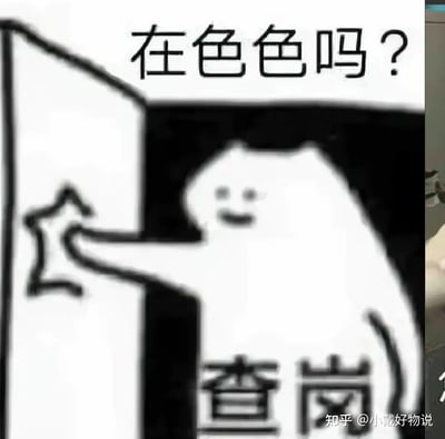 这是一张流行的猫猫手绘表情包，主角是一只猫推门而入，脸带微笑，并带有“在色色吗？”和“查岗”字样。常用于网络玩梗和互相调侃，尤其与聊天内容暧昧或羞涩相关。

双关与暗示：
- “色色”在网络语境下有性暗示、调侃意味。
- “查岗”搭配猫猫动作，有突然检查、玩笑质问的社交趣味性。