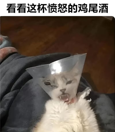 图片中是一只戴着伊丽莎白圈的白猫，它的表情看起来非常愤怒，嘴巴大张像是在大叫。有趣的是，这只猫戴的伊丽莎白圈形状特别像一个鸡尾酒杯，因此图片上方配有文字'看看这杯愤怒的鸡尾酒'，通过视觉相似性制造出幽默效果，将愤怒的猫与鸡尾酒杯巧妙结合。