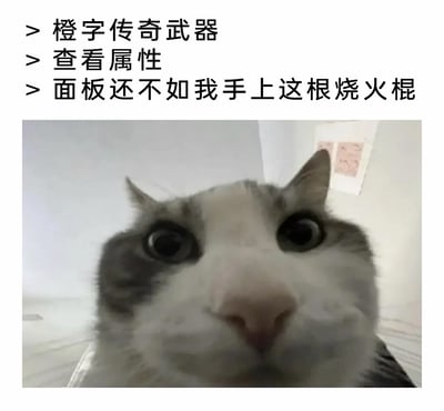 这是一张针对RPG游戏玩家痛点制作的吐槽类表情包，采用图文混排的形式。上方文字模拟玩家在游戏中的操作流程：获取到代表高品级的橙字传奇武器后，查看属性却发现其面板数值甚至不如自己正在使用的“烧火棍”（低品级武器）；下方搭配一张双眼圆睁、表情极度震惊的猫咪特写图，用猫咪的夸张神态精准还原玩家看到这一离谱情况时的错愕、失望与不敢置信的情绪，能够引发有过类似游戏经历的玩家的强烈共鸣。