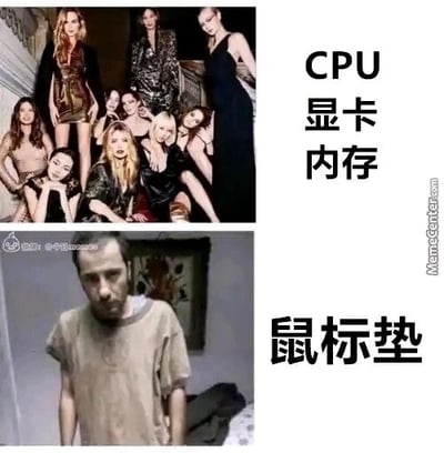 这是一张上下对比的图文梗图，上半部分展示了一群造型精致、气质出众的女性群体，她们姿态放松、神情自信，旁边配有文字“CPU、显卡、内存”，以此比喻这三类电脑硬件是电脑系统里的核心、受重视的关键部件；下半部分是一个神情憔悴、衣着邋遢的男性，他坐在房间里，状态低落，旁边配有文字“鼠标垫”，用来比喻鼠标垫在电脑硬件中属于边缘、不受重视的配件。图中通过人物形象的强烈反差，生动具象化了电脑核心硬件与边缘配件之间的地位差距，用幽默的方式调侃了不同电脑硬件的存在感差异，容易引发电脑爱好者的共鸣。