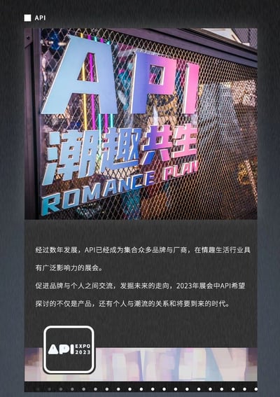 这是一张API展会的宣传海报，上方为实体场景图，展示了带有彩色霓虹效果的“API”大字标志，下方配有“潮趣共生”及“ROMANCE PLAN”字样，背景为网格状围栏。海报底部文字介绍API经过数年发展已成为情趣生活行业具有广泛影响力的展会，2023年展会旨在促进品牌与个人交流，探讨产品之外个人与潮流的关系及未来时代走向。