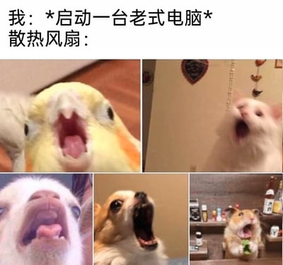 暂无描述