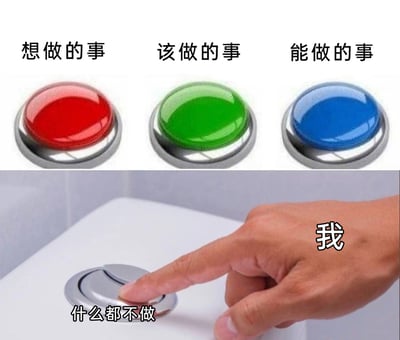 这张图片采用上下拼接的构图形式，上半部分设置了三个代表不同行动选项的按钮：红色按钮对应“想做的事”，绿色按钮对应“该做的事”，蓝色按钮对应“能做的事”，清晰呈现出人们在生活中常面临的三类行动选择；下半部分则是一只被标注为“我”的手，正按下马桶水箱上标注“什么都不做”的按钮。图片通过这种强烈的反差对比，以幽默夸张的方式，精准刻画了当代部分人在面对需要做出行动选择时，内心纠结后最终选择逃避现实、摆烂躺平、什么都不做的拖延心态，极易引发有类似心理的群体共鸣。